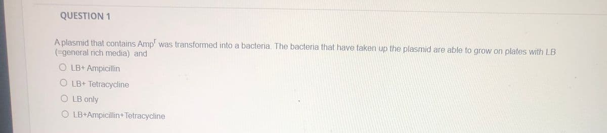 QUESTION 1
A plasmid that contains Amp' was transformed into a bacteria. The bacteria that have taken up the plasmid are able to grow on plates with LB
(=general rich media) and
O LB+ Ampicillin
O LB+ Tetracycline
O LB only
O LB+Ampicillin+Tetracycline

