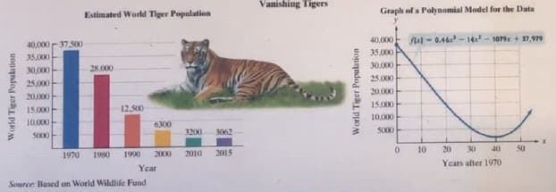 Vanishing Tigers
Estimated World Tiger Population
Graph of a Palynomial Model for the Data
40,000
Sul - 0.46 - 14 - 1079x + 7,979
40,000- 37.500
35,000
35,000
30,000
30,000
28.000
25,000
25,000
20,000
20,000
15,000
15.000
12.500
10,000
10.000
6300
3200
3062
SO00
S000
10
20
30
40
50
1970
1980
1990
2000
2010
2015
Years after 1970
Year
Source: Based on World Wildlife Fund
World Tiger Population
World Tiger Population
