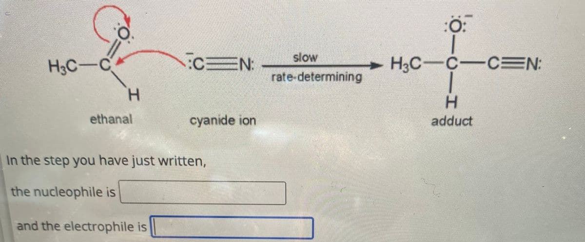 H3C-C
O:
H
ethanal
:CN:
and the electrophile is
cyanide ion
In the step you have just written,
the nucleophile is
slow
rate-determining
Ö—0—1
H3C-C-C=N;
adduct