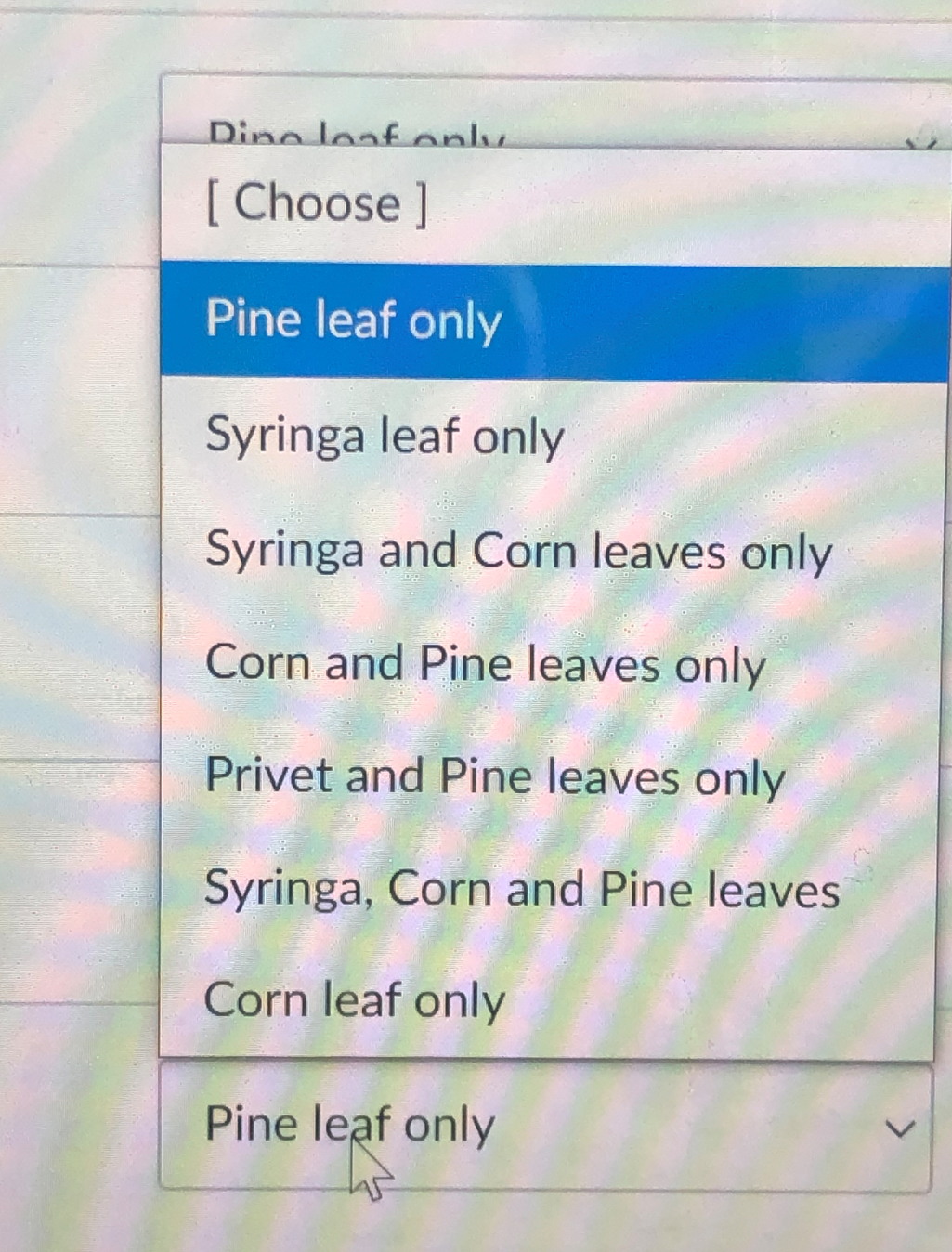 Dino loaf only
[ Choose ]
Pine leaf only
Syringa leaf only
Syringa and Corn leaves only
Corn and Pine leaves only
Privet and Pine leaves only
Syringa, Corn and Pine leaves
Corn leaf only
Pine leaf only
