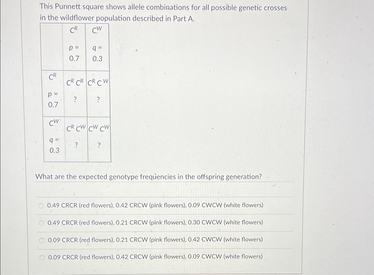 This Punnett square shows allele combinations for all possible genetic crosses
in the wildflower population described in Part A.
CR
E
p=
0.7
CW
q=
0.3
p=
0.7
?
CW
CR CR CR CW
q=
0.3
?
?
CR CW CW CW
?
What are the expected genotype frequencies in the offspring generation?
O 0.49 CRCR (red flowers), 0.42 CRCW (pink flowers), 0.09 CWCW (white flowers)
0.49 CRCR (red flowers), 0.21 CRCW (pink flowers), 0.30 CWCW (white flowers)
O 0.09 CRCR (red flowers), 0.21 CRCW (pink flowers), 0.42 CWCW (white flowers)
0.09 CRCR (red flowers), 0.42 CRCW (pink flowers), 0.09 CWCW (white flowers)