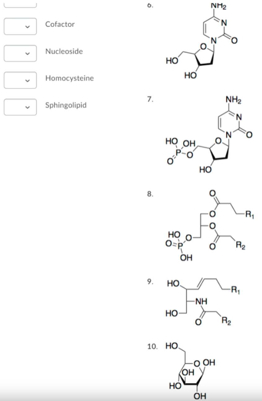 Cofactor
Nucleoside
Homocysteine
Sphingolipid
6.
7.
8.
9.
Но
HO OH
но о
O=p
НО.
Но
НО
10. НО.
Но
ОН
-NH
Но
ОН
NH₂
О ОН
ОН
NH₂
-R1
R₂
-R1
R₂