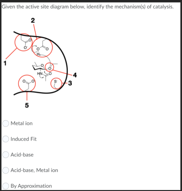 Given the active site diagram below, identify the mechanism(s) of catalysis.
5
2
Metal ion
Induced Fit
Acid-base
HN
S
is.
By Approximation
Acid-base, Metal ion
-3
4