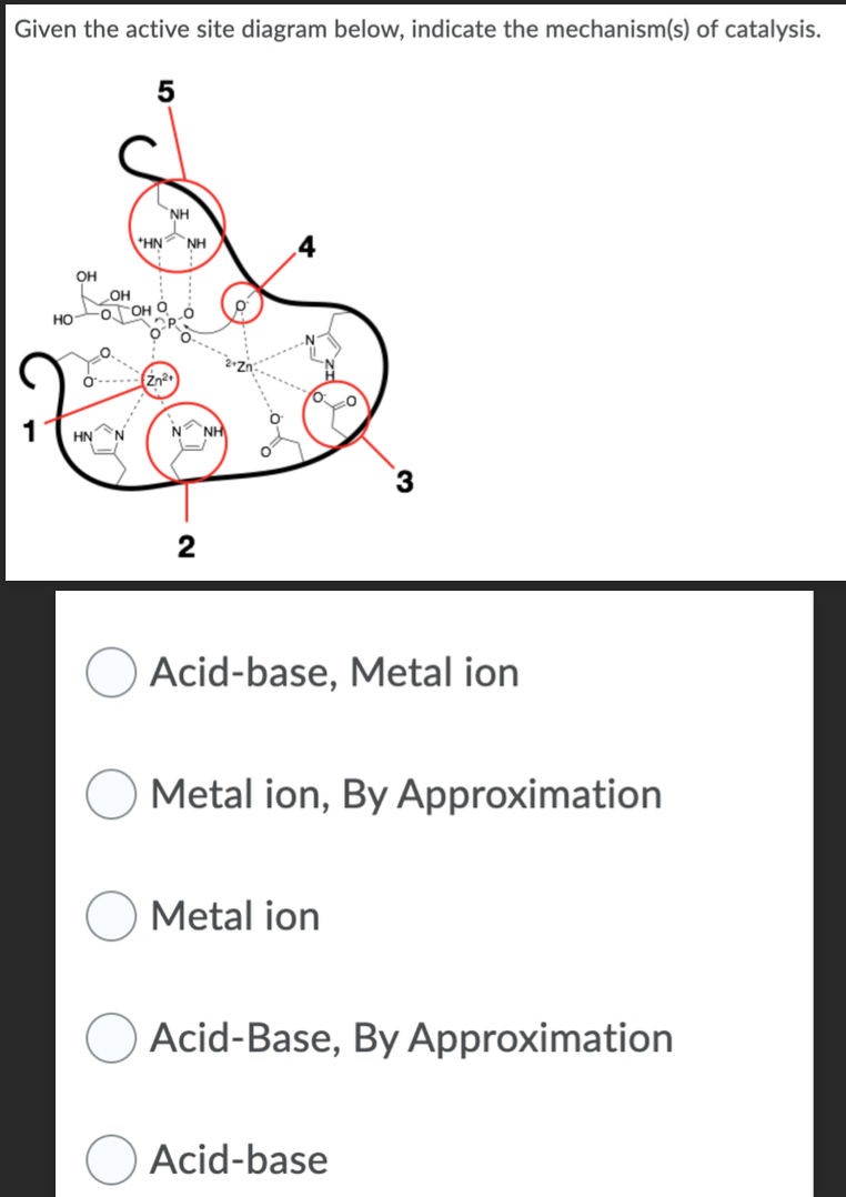 Given the active site diagram below, indicate the mechanism(s) of catalysis.
5
HO
OH
HN
OH
ΝΗ
*HN ΝΗ
Zn²+
Acid-base, Metal ion
3
Metal ion, By Approximation
Metal ion
Acid-Base, By Approximation
Acid-base