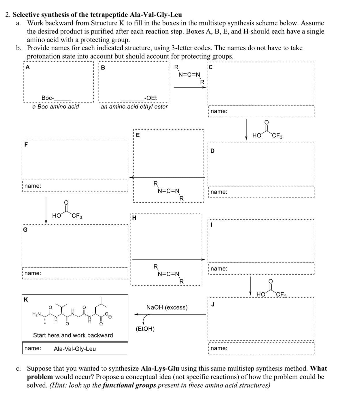 2. Selective synthesis of the tetrapeptide Ala-Val-Gly-Leu
a. Work backward from Structure K to fill in the boxes in the multistep synthesis scheme below. Assume
the desired product is purified after each reaction step. Boxes A, B, E, and H should each have a single
amino acid with a protecting group.
b. Provide names for each indicated structure, using 3-letter codes. The names do not have to take
protonation state into account but should account for protecting groups.
B
R
F
name:
G
Boc-
a Boc-amino acid
name:
K
H₂N.
OH
name:
요
CF3
Start here and work backward
-OEt
an amino acid ethyl ester
Ala-Val-Gly-Leu
E
H
R
R
N=C=N
N=C=N
(EtOH)
N=C=N
R
R
NaOH (excess)
R
C
name:
D
name:
name:
J
name:
над око
CF 3
HO
요
CF3
c. Suppose that you wanted to synthesize Ala-Lys-Glu using this same multistep synthesis method. What
problem would occur? Propose a conceptual idea (not specific reactions) of how the problem could be
solved. (Hint: look up the functional groups present in these amino acid structures)