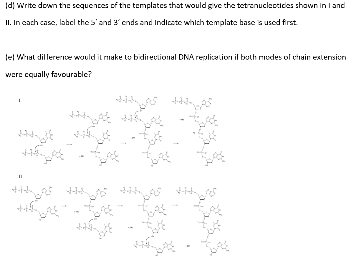 (d) Write down the sequences of the templates that would give the tetranucleotides shown in I and
II. In each case, label the 5' and 3' ends and indicate which template base is used first.
(e) What difference would it make to bidirectional DNA replication if both modes of chain extension
were equally favourable?
I
II
