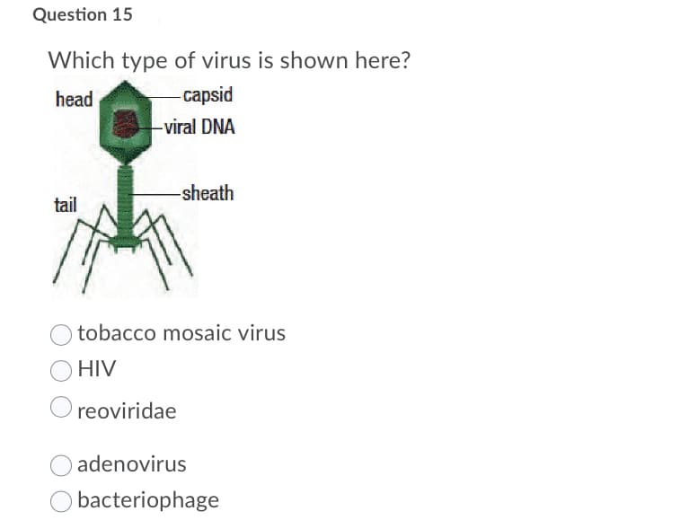 Question 15
Which type of virus is shown here?
head
-capsid
viral DNA
-sheath
tail
tobacco mosaic virus
HIV
reoviridae
adenovirus
O bacteriophage
