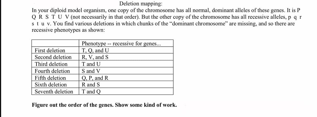 Deletion mapping:
In your diploid model organism, one copy of the chromosome has all normal, dominant alleles of these genes. It is P
Q R STU V (not necessarily in that order). But the other copy of the chromosome has all recessive alleles, p q r
stu v. You find various deletions in which chunks of the "dominant chromosome" are missing, and so there are
recessive phenotypes as shown:
Phenotype -- recessive for genes...
T, Q, and U
R, V, and S
T and U
S and V
Q, P, and R
R and S
First deletion
Second deletion
Third deletion
Fourth deletion
Fifth deletion
Sixth deletion
Seventh deletion
T and Q
Figure out the order of the genes. Show some kind of work.
