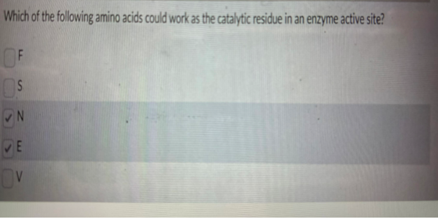 Which of the following amino acids could work as the catalytic residue in an enzyme active site?
OF
S
ON
VE
OV