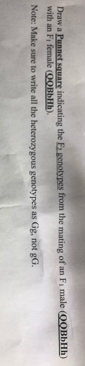 Draw a Punnet square indicating the F2 genotypes from the mating of an F1 male (QQBbHh)
with an Fi female (QQBÜHH).
Note: Make sure to write all the heterozygous genotypes as Gg, not gG.

