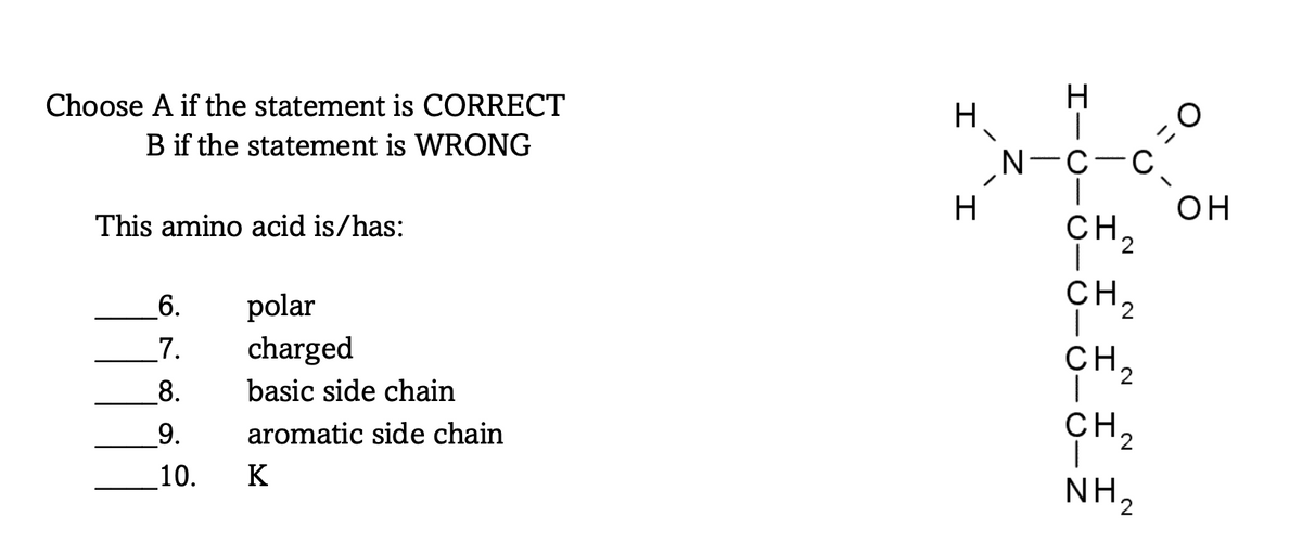 Choose A if the statement is CORRECT
B if the statement is WRONG
This amino acid is/has:
polar
charged
basic side chain
6.
7.
8.
9. aromatic side chain
10.
K
H
H
H
N-C-C
CH₂
CH ₂
CH₂
CH ₂
-Z
N
I
NH₂
=O
OH
