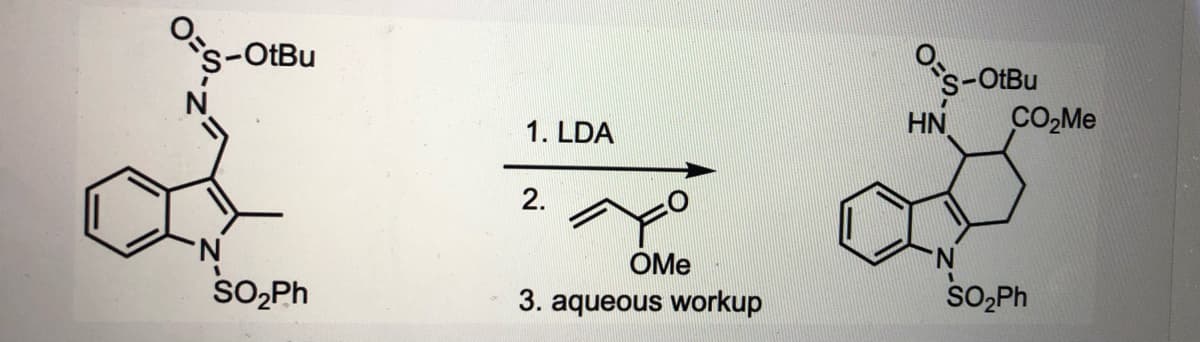 Ose-OtBu
s-OtBu
HN
1. LDA
2.
N.
OMe
sO,Ph
3. aqueous workup
