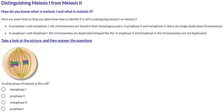 Distinguishing Meiosis I from Meiosis II
How do you know what is meiosis I and what is meiosis II?
Here are some hints to help you determine how to identify if a cell is undergoing meiosis I or meiosis I.
• In prophase l and metaphase I, the chromosomes are found in their homologous pairs. In prophase Il and metaphase II, there are single duplicated chromosomes.
• In anaphase l and telophase I, the chromosomes are duplicated (shaped like Xs). In anaphase ll and telophase II, the chromosomes are not duplicated.
Take a look at the picture, and then answer the questions
In what phase of meiosis is this cell?
O metaphase l
prophase II
metaphase II
O prophase l
