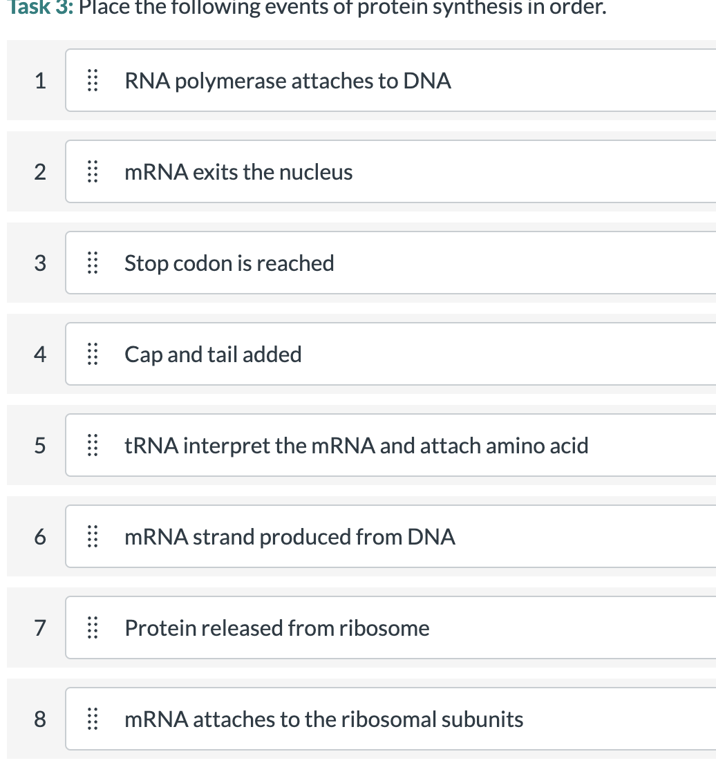 Task 3: Place the following events of protein synthesis in order.
1
RNA polymerase attaches to DNA
MRNA exits the nucleus
3
| Stop codon is reached
4
Cap and tail added
TRNA interpret the mRNA and attach amino acid
6
mRNA strand produced from DNA
7
Protein released from ribosome
8
MRNA attaches to the ribosomal subunits
::::
::::
::::
::::
::::
::::
2.
