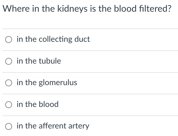 Where in the kidneys is the blood filtered?
O in the collecting duct
O in the tubule
in the glomerulus
O in the blood
O in the afferent artery
