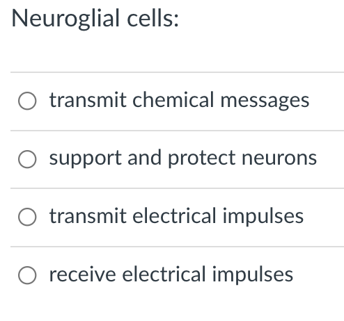 Neuroglial cells:
O transmit chemical messages
support and protect neurons
transmit electrical impulses
O receive electrical impulses
