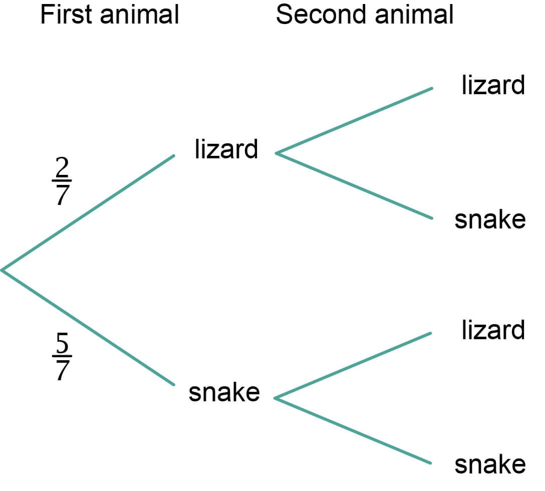 First animal
~|N
7
IN
lizard
snake
Second animal
lizard
snake
lizard
snake