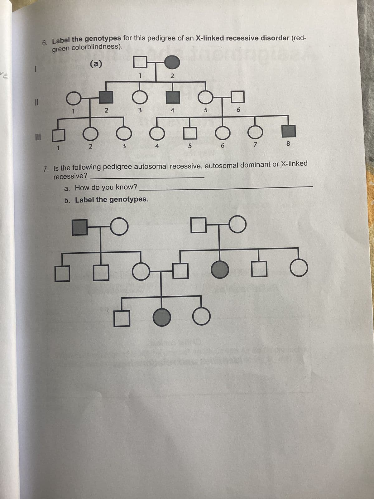 re
|||
E
6. Label the genotypes for this pedigree of an X-linked recessive disorder (red-
green colorblindness).
(a)
2
2
3
1
3
a. How do you know?
b. Label the genotypes.
4
O
To
2
4
5
5
6
6
7. Is the following pedigree autosomal recessive, autosomal dominant or X-linked
recessive?
2
8
O
T
58