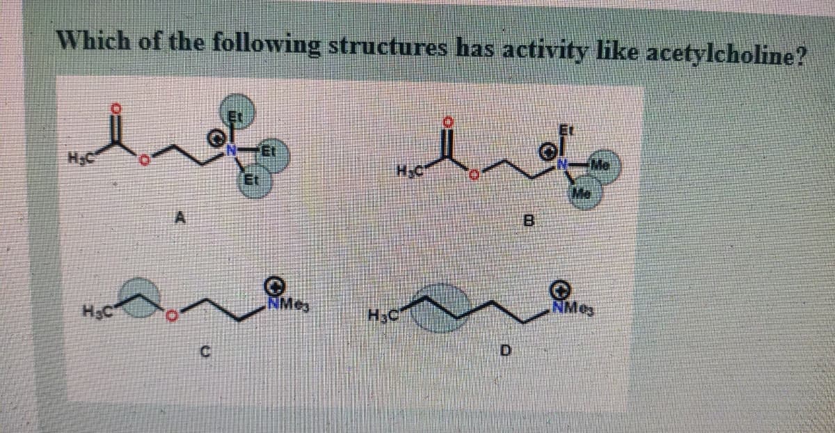 Which of the following structures has activity like acetylcholine?
HyC
H-C
HC
NMeg
NMey
D]
