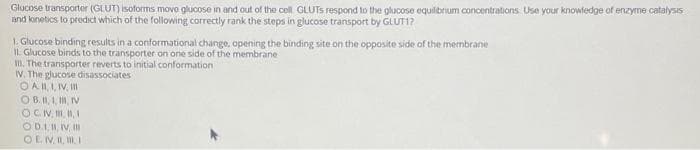 Glucose transporter (GLUT) isoforms move glucose in and out of the cell GLUTS respond to the glucose equilibrium concentrations. Use your knowledge of enzyme catalysis
and lonetics to predict which of the following correctly rank the steps in glucose transport by GLUT1?
1. Glucose binding results in a conformational change, opening the binding site on the opposite side of the membrane
11. Glucose binds to the transporter on one side of the membrane
II. The transporter reverts to initial conformation
IV. The glucose disassociates
OA III, IV, III
OB. 1,1,1, IV
OCIV, II, II, I
ODII, IV III
OENI, LI