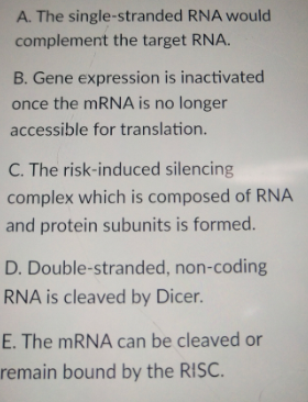 A. The single-stranded RNA would
complement the target RNA.
B. Gene expression is inactivated
once the mRNA is no longer
accessible for translation.
C. The risk-induced silencing
complex which is composed of RNA
and protein subunits is formed.
D. Double-stranded, non-coding
RNA is cleaved by Dicer.
E. The mRNA can be cleaved or
remain bound by the RISC.