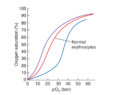 Oxygen saturation (%)
100
90
80
70
60
- Normal
50
40
30
20
10
0
0 10 20 30 40 50 60
po₂ (torr)
erythrocytes