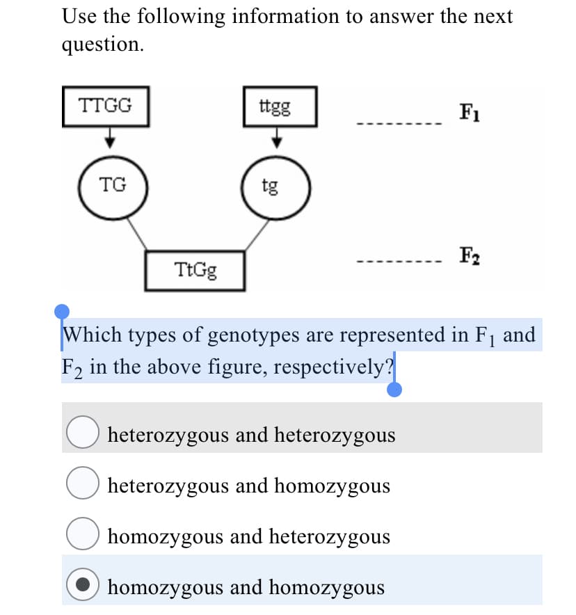 Use the following information to answer the next
question.
TTGG
ttgg
F1
TG
tg
F2
TtGg
Which types of genotypes are represented in F1 and
F2 in the above figure, respectively?
heterozygous and heterozygous
heterozygous and homozygous
homozygous and heterozygous
homozygous and homozygous
