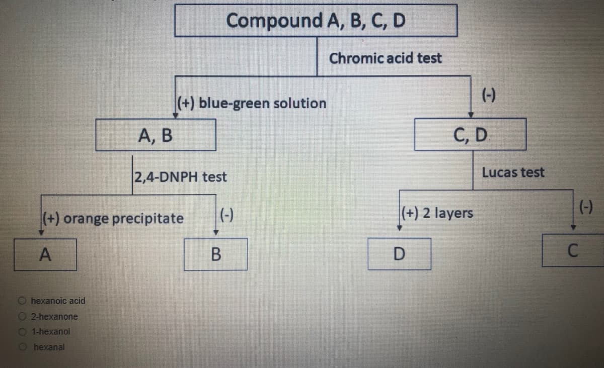 Compound A, B, C, D
Chromic acid test
(-)
|(+) blue-green solution
А, В
С, D.
Lucas test
2,4-DNPH test
(-)
(+) orange precipitate
(-)
(+) 2 layers
В
C
O hexanoic acid
O 2-hexanone
O 1-hexanol
O hexanal
