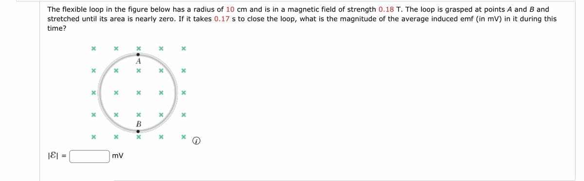 The flexible loop in the figure below has a radius of 10 cm and is in a magnetic field of strength 0.18 T. The loop is grasped at points A and B and
stretched until its area is nearly zero. If it takes 0.17 s to close the loop, what is the magnitude of the average induced emf (in mV) in it during this
time?
|E| =
X
x
X
x
x
x
X
X
X
x
mV
XOAX
Α
X
XB X
В
X
X
x
x
*
X
x
x
O