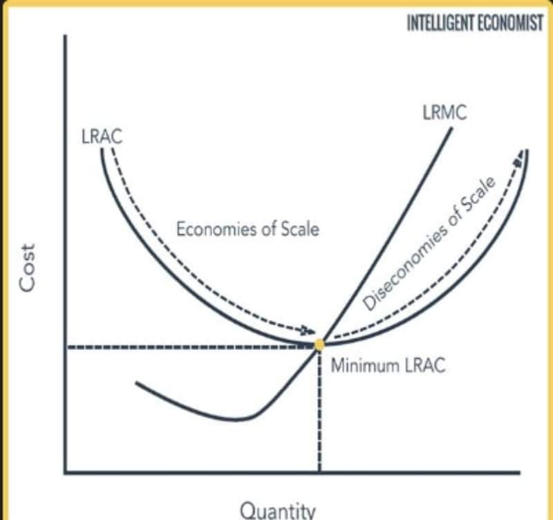 INTELLIGENT ECONOMIST
LRMC
LRAC
Economies of Scale
Minimum LRAC
Quantity
Cost
Diseconomies of Scale
