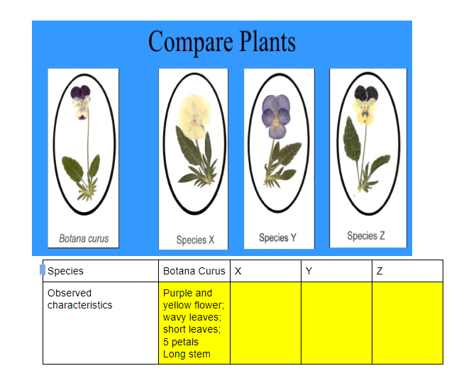 Compare Plants
Botana curus
Species X
Species Y
Species Z
Species
Botana Curus x
Y
Purple and
yellow flower;
wavy leaves;
short leaves;
5 petals
Long stem
Observed
characteristics
N
