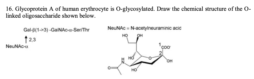 16. Glycoprotein A of human erythrocyte is O-glycosylated. Draw the chemical structure of the O-
linked oligosaccharide shown below.
Gal-B(1->3) -GalNAc-a-Ser/Thr
12,3
NeuNAC-a
NeuNAC N-acetylneuraminic acid
HO
HO
HO
OH
COO
OH