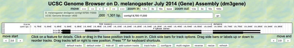 UCSC Genome Browser on D. melanogaster July 2014 (Gene) Assembly (dm3gene)
move
Zoom in 1.5x
3x
10x
base
Zoom out 1.5x
3x
10x
100x
<<<
<<
>
>>
>>>
D. melanogaster dm3gene contig1:9700-11000
UCSC Genome Browser v400
,000 1,301 bp.
contig1:9,700-11,000
go
scale
cont igi:
500 bases
dm3gene
9, 750|
9,800|
9,850|
9,900|
9,950| 10, 00e| 10, 050| 10,100| 10, 150| 10,200| 10,250| 10,300| 10,350| 10,400| 10, 450| 10,500| 10,550| 10,600| 10,650l 10,700| 10, 750| 10,80el 10,850| 10,900| 10,95el
F1yBase Genes
tra-RB
tra-RA
move start
move end
Click on a feature for details. Click or drag in the base position track to zoom in. Click side bars for track options. Drag side bars or labels up or down to
reorder tracks. Drag tracks left or right to new position. Press "?" for keyboard shortcuts.
2.0
>
2.0
default tracks
default order
hide all
add custom tracks
track hubs
configure
multi-region
resize
refresh
reverse
