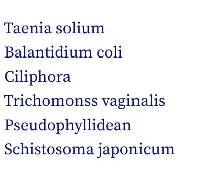 Taenia solium
Balantidium coli
Ciliphora
Trichomonss vaginalis
Pseudophyllidean
Schistosoma japonicum
