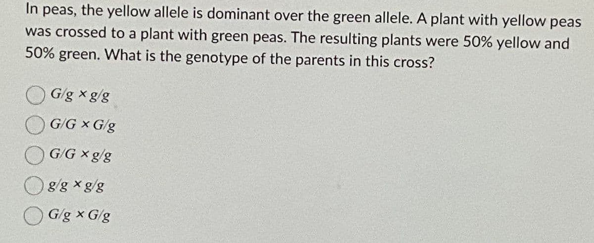 In peas, the yellow allele is dominant over the green allele. A plant with yellow peas
was crossed to a plant with green peas. The resulting plants were 50% yellow and
50% green. What is the genotype of the parents in this cross?
G/g xg/g
OG/G x G/g
G/Gxg/g
Og/g *g/g
OG/g x G/g