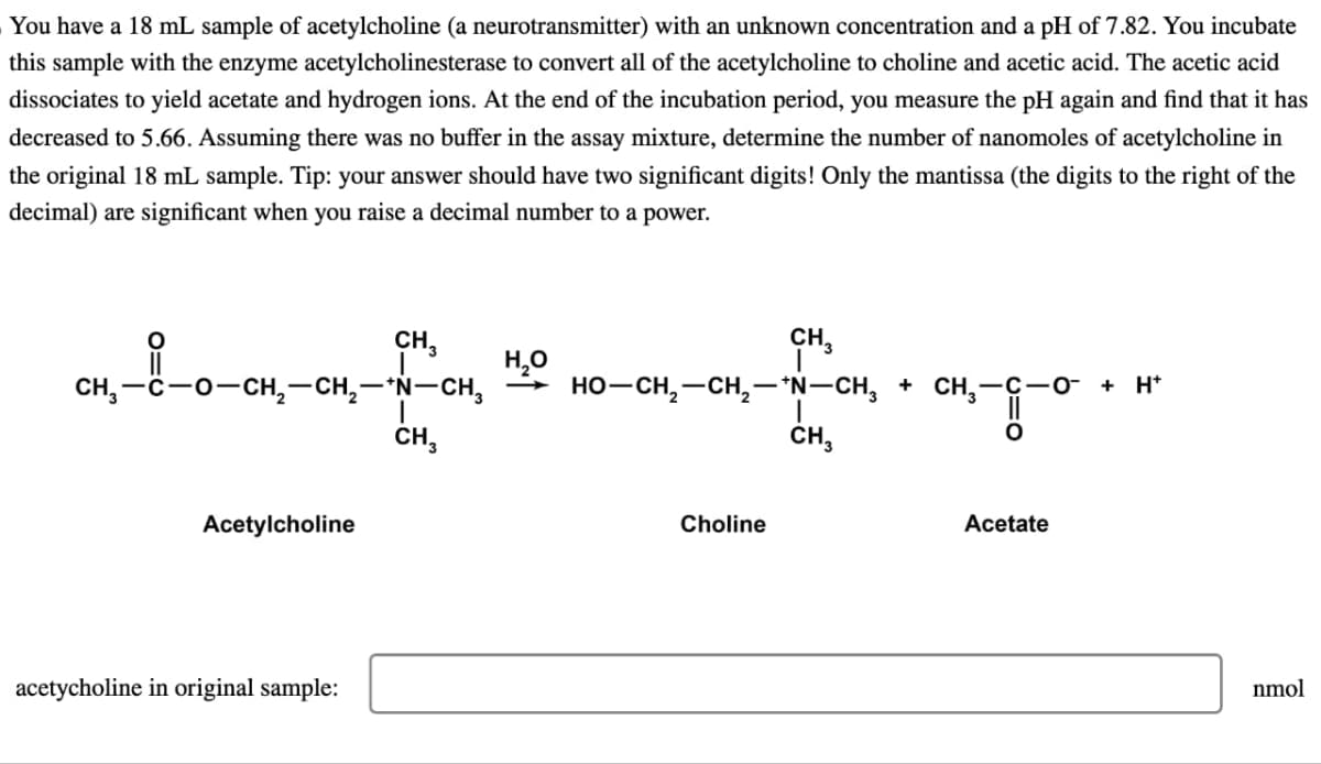 You have a 18 mL sample of acetylcholine (a neurotransmitter) with an unknown concentration and a pH of 7.82. You incubate
this sample with the enzyme acetylcholinesterase to convert all of the acetylcholine to choline and acetic acid. The acetic acid
dissociates to yield acetate and hydrogen ions. At the end of the incubation period, you measure the pH again and find that it has
decreased to 5.66. Assuming there was no buffer in the assay mixture, determine the number of nanomoles of acetylcholine in
the original 18 mL sample. Tip: your answer should have two significant digits! Only the mantissa (the digits to the right of the
decimal) are significant when you raise a decimal number to a power.
CH,—C−O−CH,—CH,—*N—CH,
Acetylcholine
CH 3
acetycholine in original sample:
CH3
H₂O
CH3
HO–CH,—CH,—*N–CH, + CH,
Choline
CH3
CH, T
Acetate
O + H+
nmol