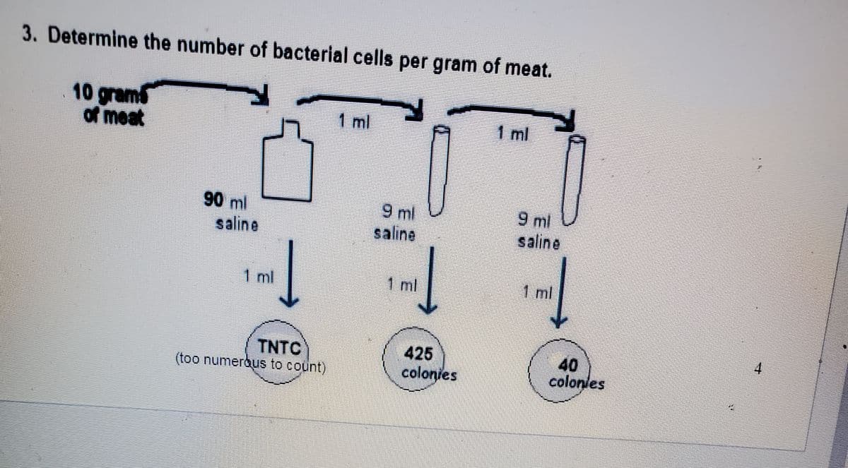 3. Determine the number of bacterial cells per gram of meat.
10 grams
of meat
1 ml
1ml
90 ml
saline
9 ml
saline
9 ml
saline
1 ml
1 ml
1 ml
TNTC
(too numerous to count)
4
425
colonies
40
colonles
