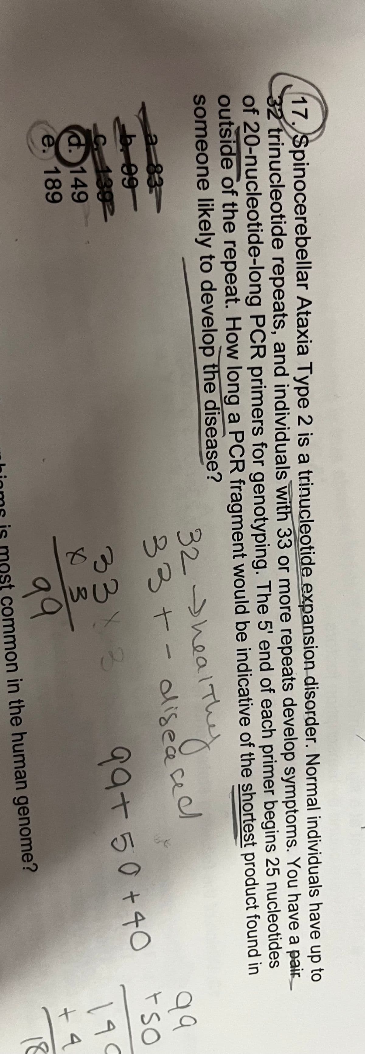 17. Spinocerebellar Ataxia Type 2 is a trinucleotide expansion disorder. Normal individuals have up to
32 trinucleotide repeats, and individuals with 33 or more repeats develop symptoms. You have a pair
of 20-nucleotide-long PCR primers for genotyping. The 5' end of each primer begins 25 nucleotides
outside of the repeat. How long a PCR fragment would be indicative of the shortest product found in
someone likely to develop the disease?
a-83-
энеакти
b. 99
32
33 + diseased.
139
99
d. 149
tso
99 +50+40
33 X 3
X 3
e. 189
99
common in the human genome?
190
+4
18