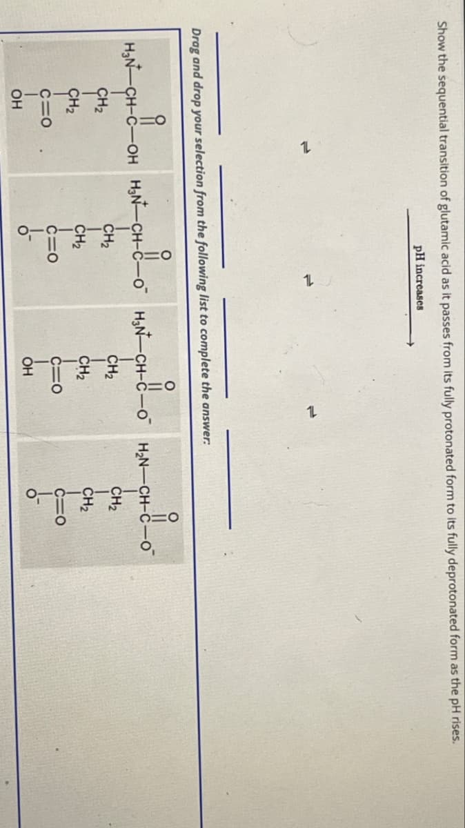 Show the sequential transition of glutamic acid as it passes from its fully protonated form to its fully deprotonated form as the pH rises.
pH increases
Drag and drop your selection from the following list to complete the answer:
O
O
유
HN-CH-C
-OH H₂N-CH-C
-0 H3N-CH-C
H2N-CH-C-O
CH2
CH2
CH2
CH2
CH2
CH2
CH2
CH2
C=O
OH
C=O
C=O
C=O
11-
OH