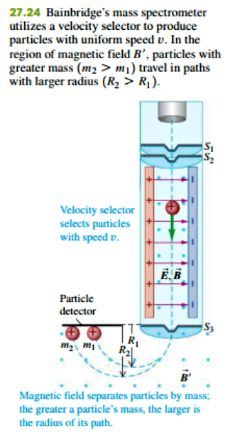 27.24 Bainbridge's mass spectrometer
utilizes a velocity selector to produce
particles with uniform speed v. In the
region of magnetic field B', particles with
greater mass (m2 > m1) travel in paths
with larger radius (R2 > R1).
Velocity selector
selects particles
with speed v.
Particle
detector
R2
Magnetic field separates particles by mass;
the greater a particle's mass, the larger is
the radius of its path.
