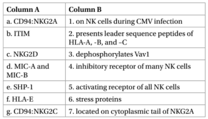 Column A
Column B
a. CD94:NKG2A 1. on NK cells during CMV infection
b. ITIM
2. presents leader sequence peptides of
HLA-A, -B, and -C
c. NKG2D
3. dephosphorylates Vav1
d. MIC-A and
4. inhibitory receptor of many NK cells
MIC-B
e. SHP-1
5. activating receptor of all NK cells
f. HLA-E
6. stress proteins
g. CD94:NKG2C 7. located on cytoplasmic tail of NKG2A
