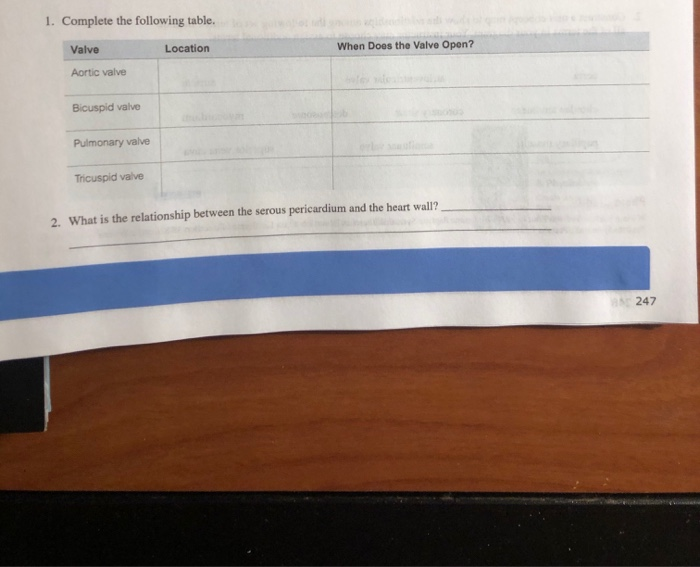 1. Complete the following table.
Valve
Aortic valve
Bicuspid valve
Pulmonary valve
Tricuspid valve
Location
When Does the Valve Open?
b
2. What is the relationship between the serous pericardium and the heart wall?
247