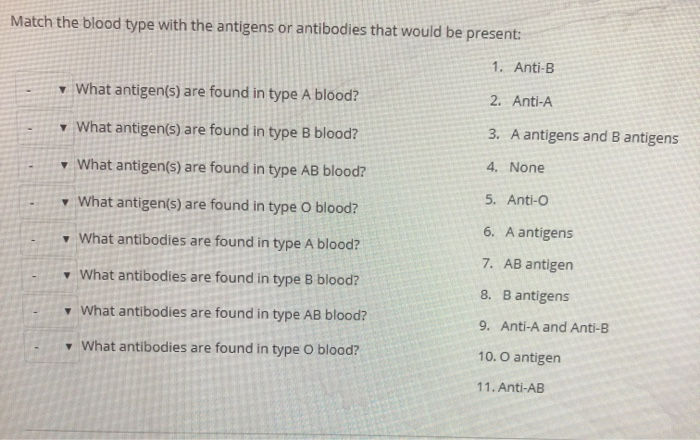 Match the blood type with the antigens or antibodies that would be present:
1. Anti-B
2. Anti-A
3. A antigens and B antigens
▾ What antigen(s) are found in type A blood?
▾ What antigen(s) are found in type B blood?
▾ What antigen(s) are found in type AB blood?
What antigen(s) are found in type O blood?
▾ What antibodies are found in type A blood?
▾ What antibodies are found in type B blood?
▾ What antibodies are found in type AB blood?
What antibodies are found in type O blood?
4. None
5. Anti-O
6. A antigens
7. AB antigen
8. B antigens
9. Anti-A and Anti-B
10. O antigen
11. Anti-AB