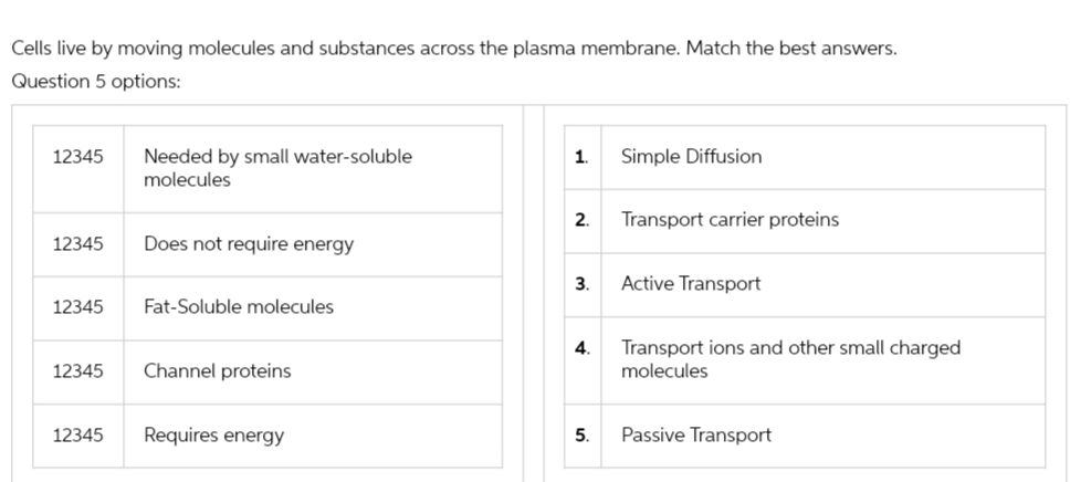 Cells live by moving molecules and substances across the plasma membrane. Match the best answers.
Question 5 options:
12345
12345
12345
12345
12345
Needed by small water-soluble
molecules
Does not require energy
Fat-Soluble molecules
Channel proteins
Requires energy
1. Simple Diffusion
2. Transport carrier proteins
3. Active Transport
4. Transport ions and other small charged
molecules
5.
Passive Transport