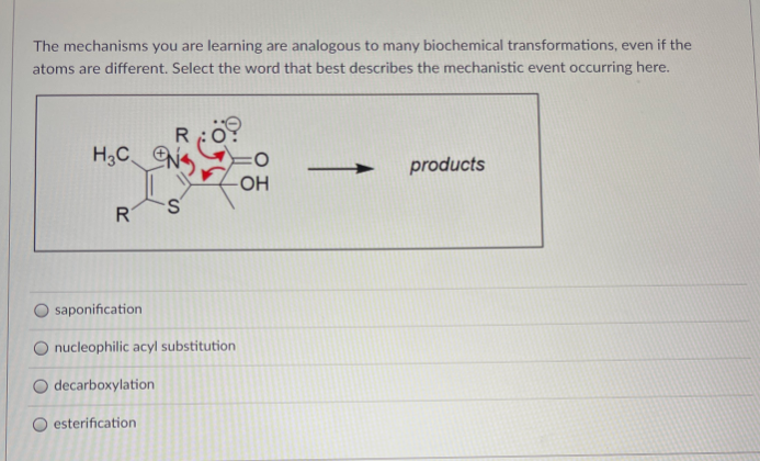 The mechanisms you are learning are analogous to many biochemical transformations, even if the
atoms are different. Select the word that best describes the mechanistic event occurring here.
H3C N
products
S.
R
saponification
nucleophilic acyl substitution
decarboxylation
esterification
