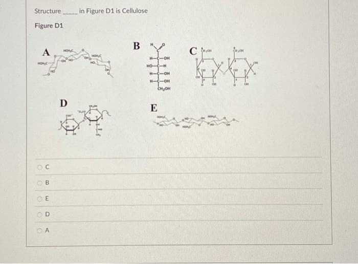 Structure
in Figure D1 is Cellulose
Figure D1
A
HOC
C an
H-C-OH
HO--H
HO
H-C-OH
H--OH
CH,OH
D
E
OC
O B
O E
OD
O A
