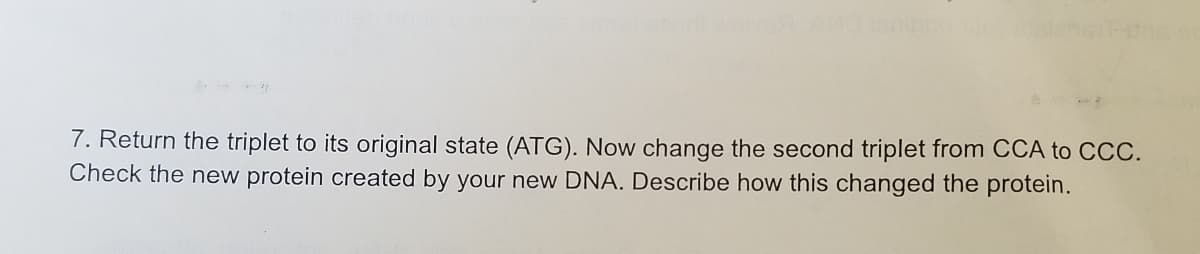 7. Return the triplet to its original state (ATG). Now change the second triplet from CCA to CCC.
Check the new protein created by your new DNA. Describe how this changed the protein.
