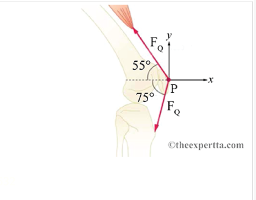 F.
55°
75°
Fe
©theexpertta.com
