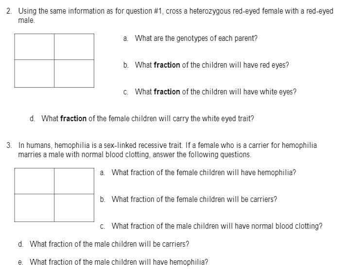 2. Using the same information as for question #1, cross a heterozygous red-eyed female with a red-eyed
male.
a. What are the genotypes of each parent?
b. What fraction of the children will have red eyes?
c. What fraction of the children will have white eyes?
d. What fraction of the female children will carry the white eyed trait?
3. In humans, hemophilia is a sex-linked recessive trait. If a female who is a carrier for hemophilia
marries a male with normal blood clotting, answer the following questions.
a. What fraction of the female children will have hemophilia?
b. What fraction of the female children will be carriers?
c. What fraction of the male children will have normal blood clotting?
d. What fraction of the male children will be carriers?
e. What fraction of the male children will have hemophilia?
