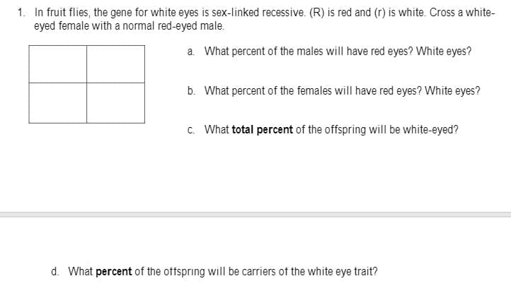 1. In fruit flies, the gene for white eyes is sex-linked recessive. (R) is red and (r) is white. Cross a white-
eyed female with a normal red-eyed male.
a. What percent of the males will have red eyes? White eyes?
b. What percent of the females will have red eyes? White eyes?
c. What total percent of the offspring will be white-eyed?
d. What percent of the offspring will be carriers of the white eye trait?
